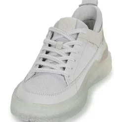 Clarks - SOMERSET LACE