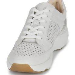 Clarks - Tivoli Walk