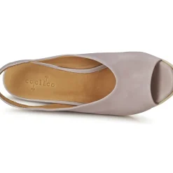 Coclico - NELS