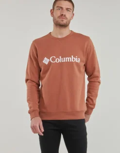 Columbia - CSC Basic Logo II Hoodie