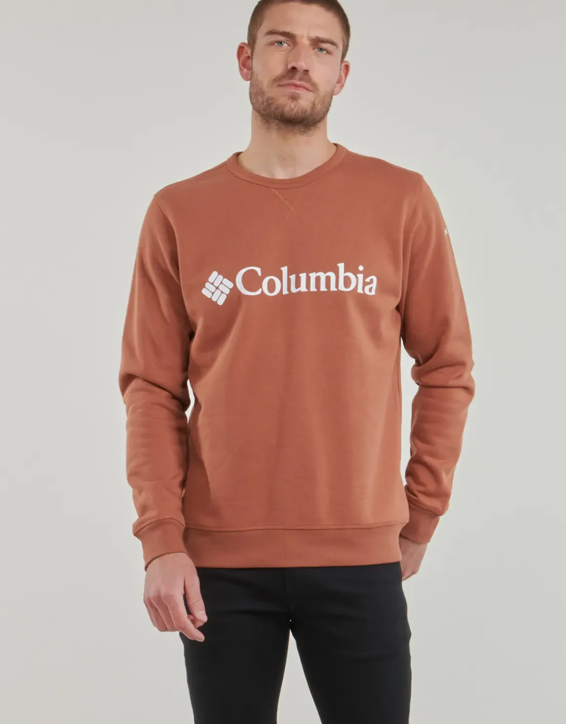 Columbia - CSC Basic Logo II Hoodie