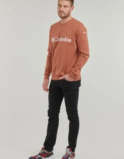 Columbia - CSC Basic Logo II Hoodie