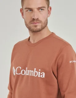 Columbia - CSC Basic Logo II Hoodie