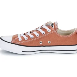 Converse - CHUCK TAYLOR ALL STAR