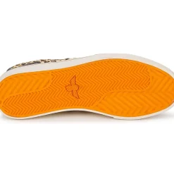 Creative Recreation - W CESARIO XVI M