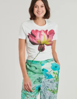 Desigual - PLATA