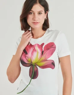 Desigual - PLATA