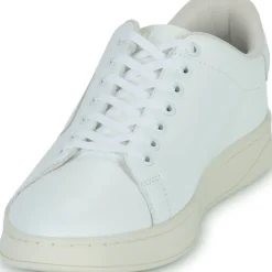 Diesel - S-ATHENE LOW