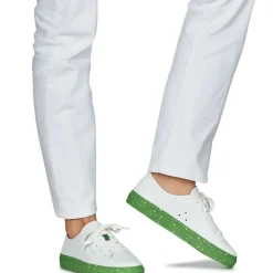 Dream in Green - JOBI