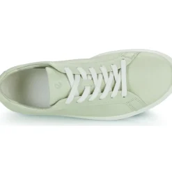 Ecco - 219203-01579
