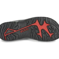 Ecco - 069564-02038