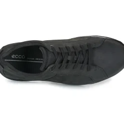 Ecco - BYWAY