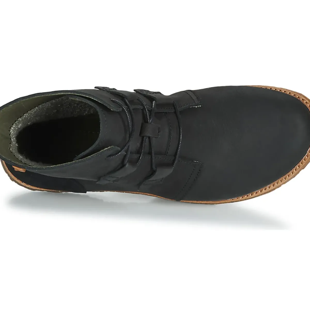 El Naturalista - ANGKOR N5470