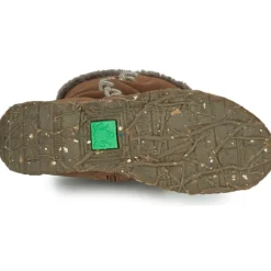 El Naturalista - ANGKOR N5468