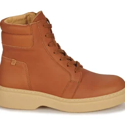 El Naturalista - ARPEA N5900