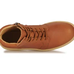 El Naturalista - ARPEA N5900