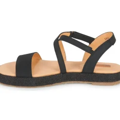 El Naturalista - BOSANA N5881