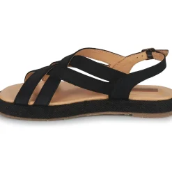 El Naturalista - BOSANA N5882