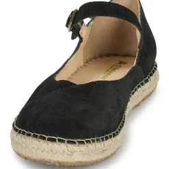 El Naturalista - CAMPOS N679