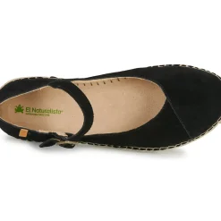 El Naturalista - CAMPOS N679