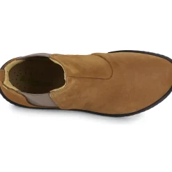 El Naturalista - CORAL N5310