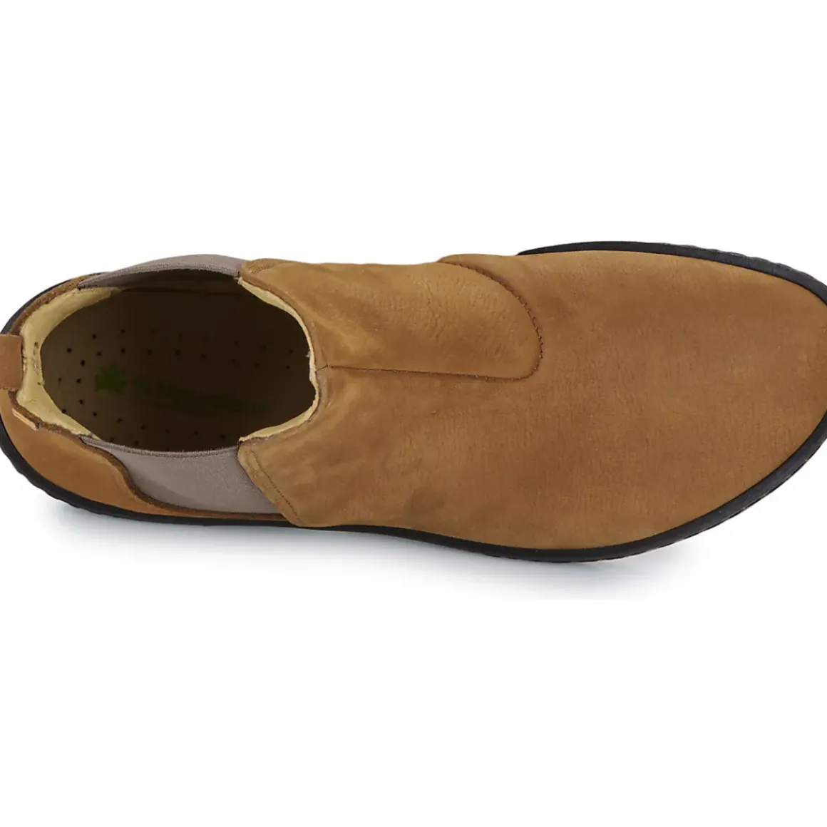 El Naturalista - CORAL N5310