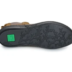 El Naturalista - CORAL N5310
