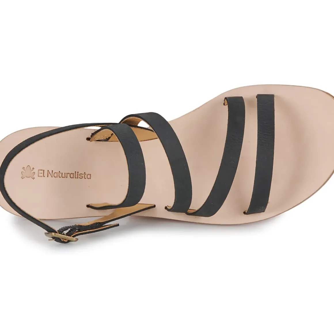 El Naturalista - CORATINA N5711