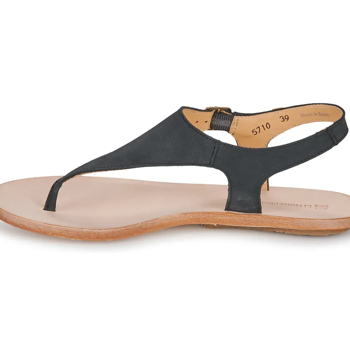 El Naturalista - CORATINA N5710