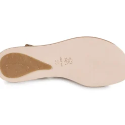 El Naturalista - CORATINA N5711