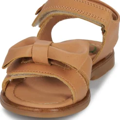 El Naturalista - 16299-CUERO