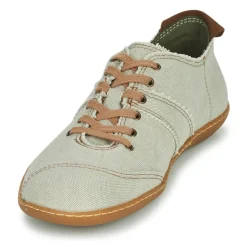 El Naturalista - EL VIAJERO N5288T