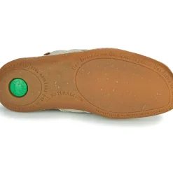 El Naturalista - EL VIAJERO N5288T