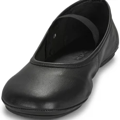 El Naturalista - ESSENCE N5820