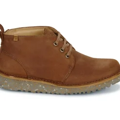 El Naturalista - FELSEN N5630