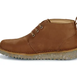 El Naturalista - FELSEN N5630