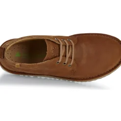 El Naturalista - FELSEN N5630