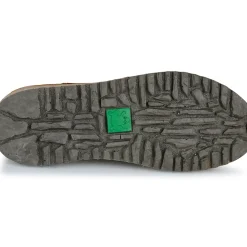 El Naturalista - FELSEN N5630