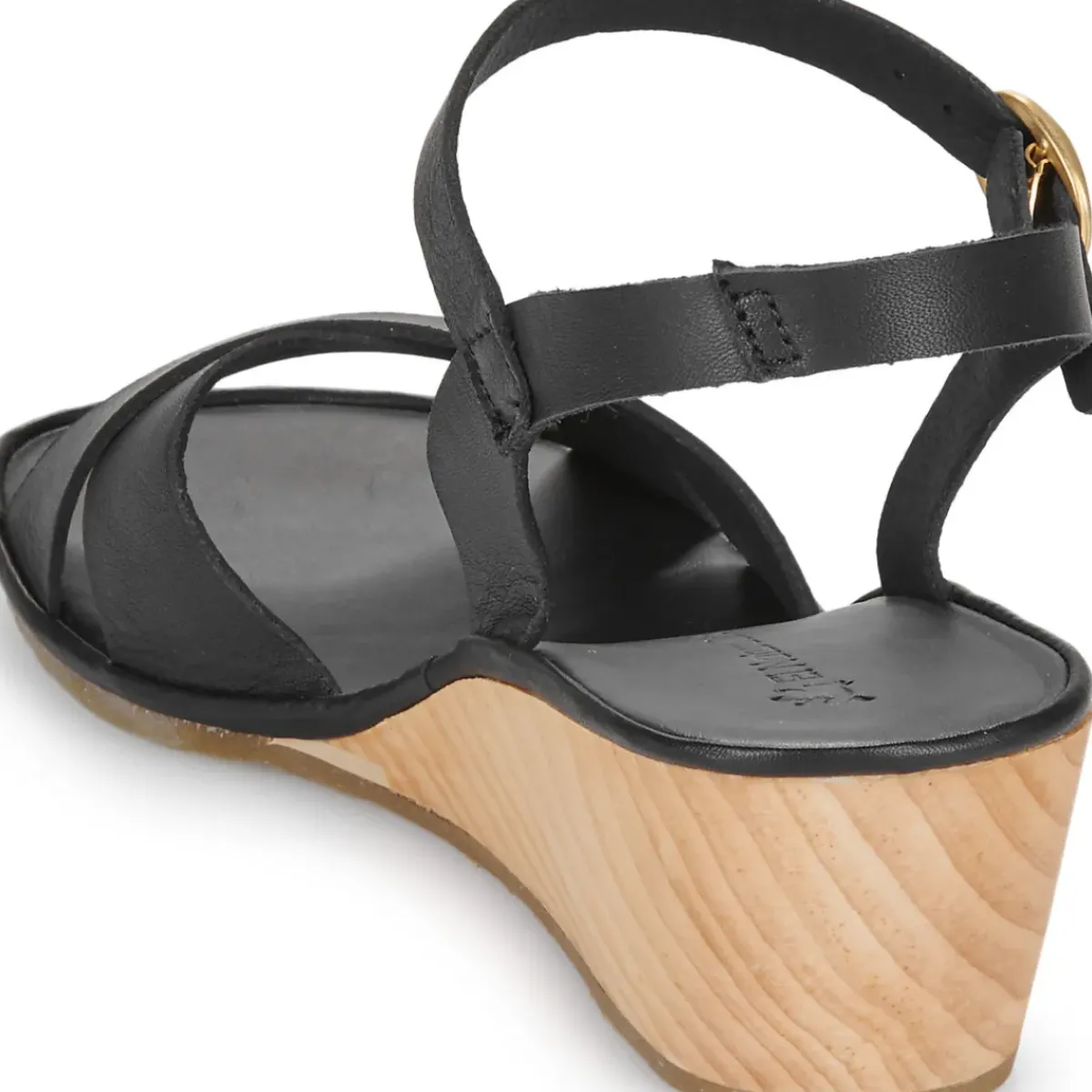 El Naturalista - GAIA N854