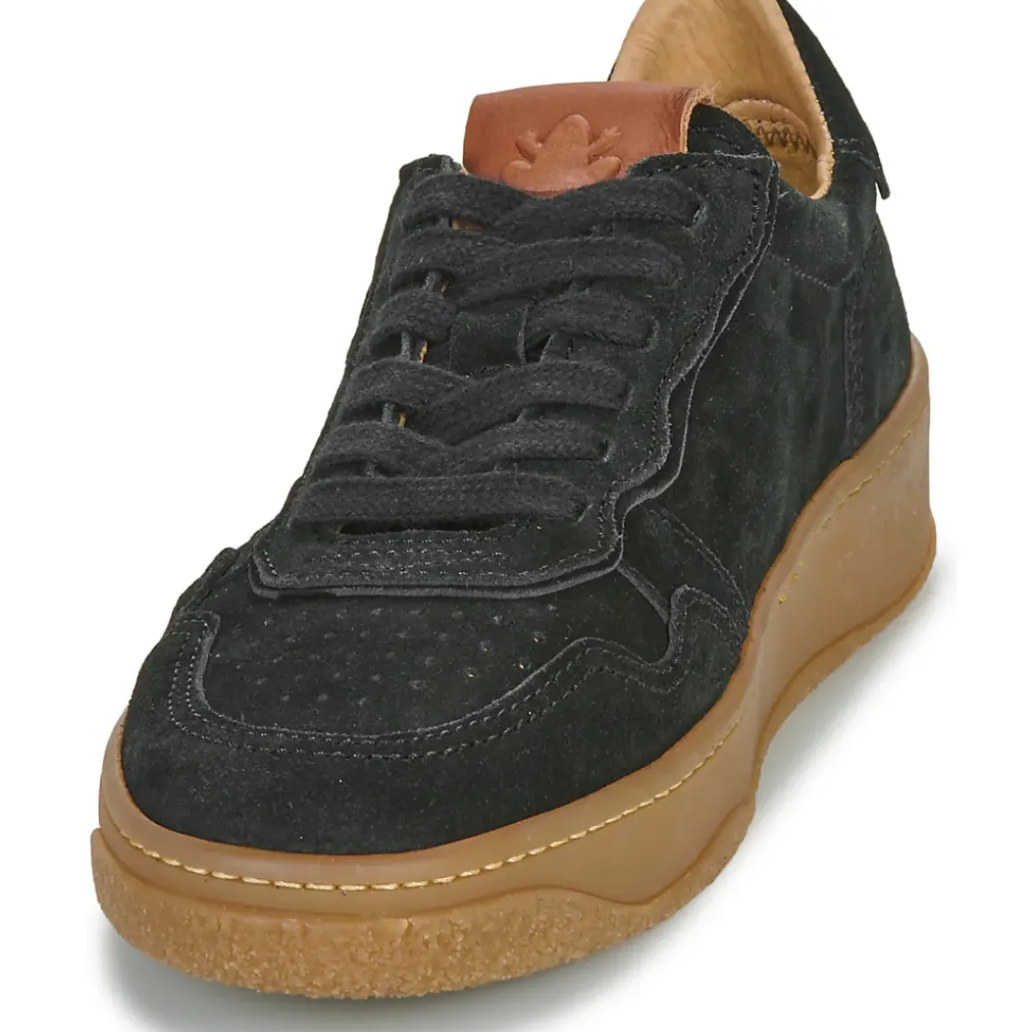El Naturalista - GEO N5844S