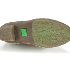 El Naturalista - HAYA N5179
