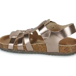 El Naturalista - INCOGNITO
