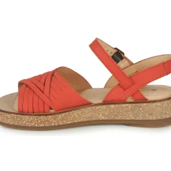 El Naturalista - N5590-CORAL