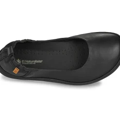 El Naturalista - ORIGEN N5912