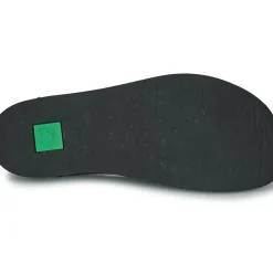 El Naturalista - ORIGEN N5912