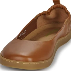 El Naturalista - ORIGEN N5912