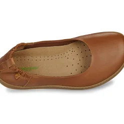 El Naturalista - ORIGEN N5912