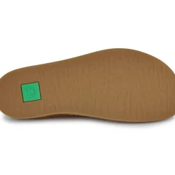 El Naturalista - ORIGEN N5912