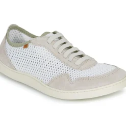 El Naturalista - ORIGEN N5914