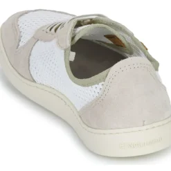 El Naturalista - ORIGEN N5914